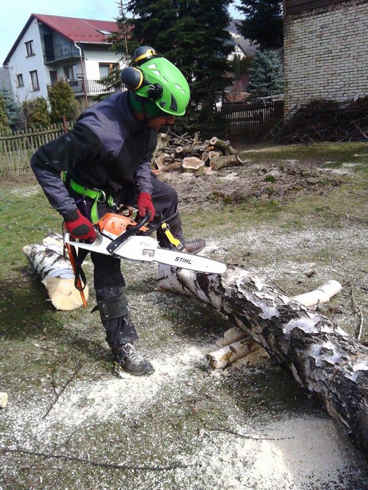 Wycinka brzóz w Miedzybrodziu Żywieckim