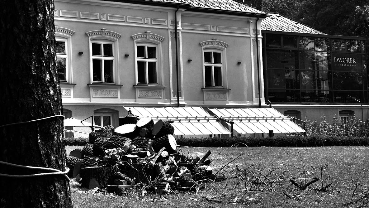 Wycinka drzew Dworek New Restaurant